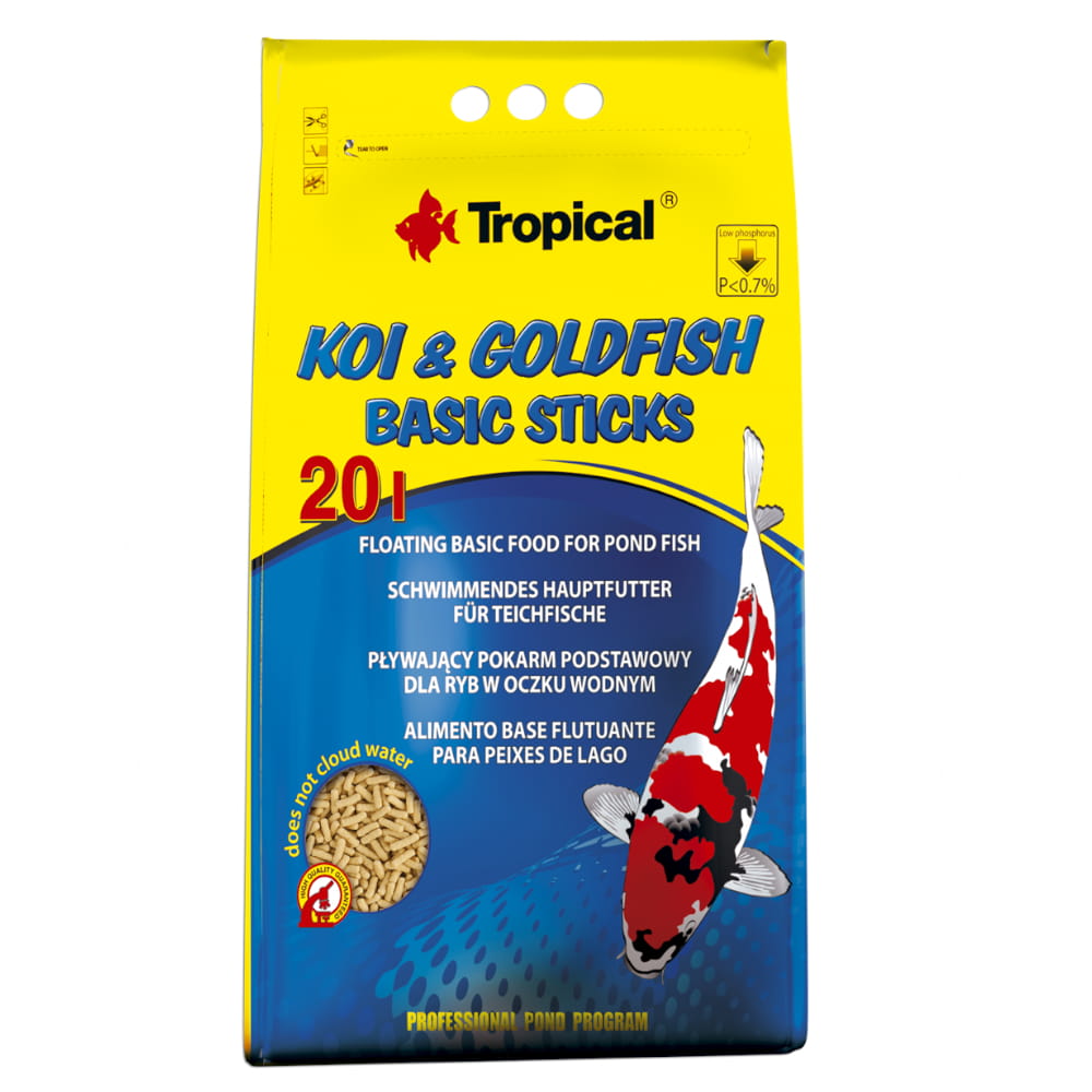 koi goldfish basic sticks 20 .jpg